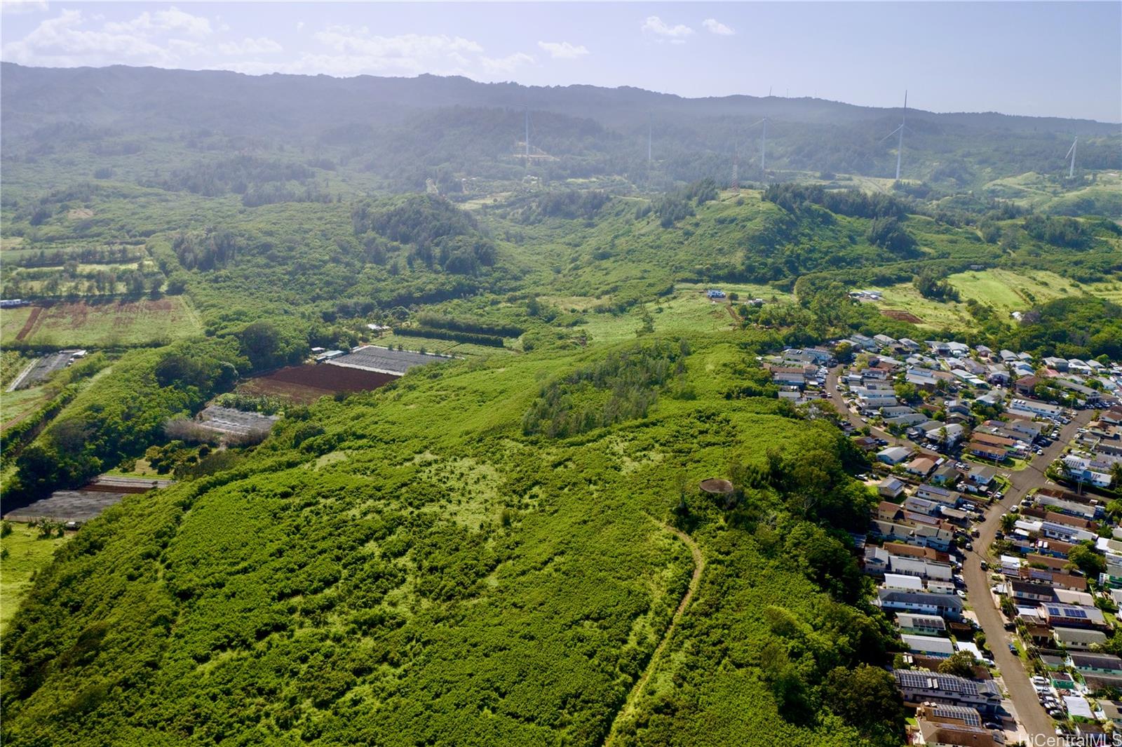 a view of a lush green hillside and houses