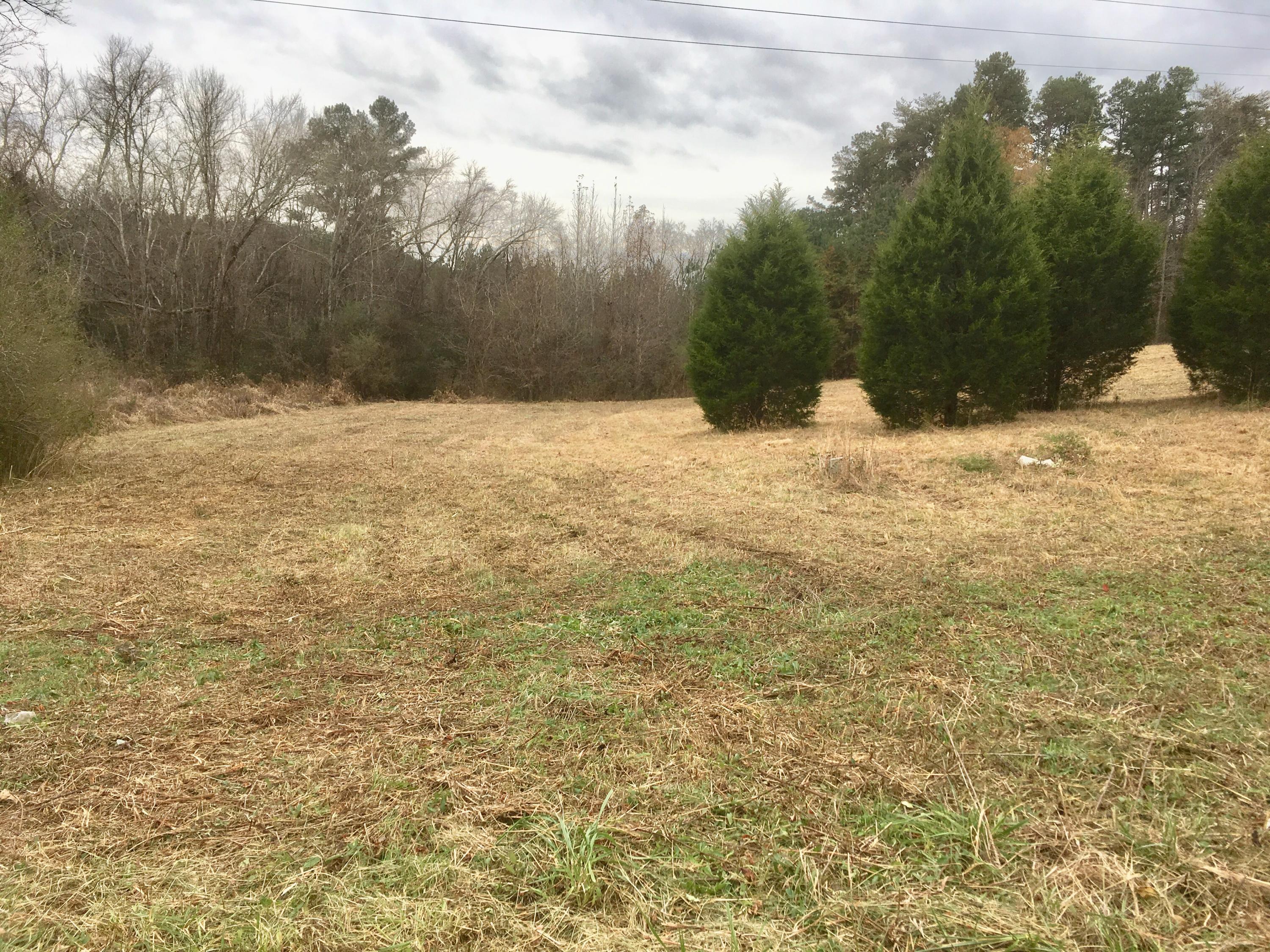 Peakland Road Decatur, TN 37322 - Photo 1 of 4 IMG_6625