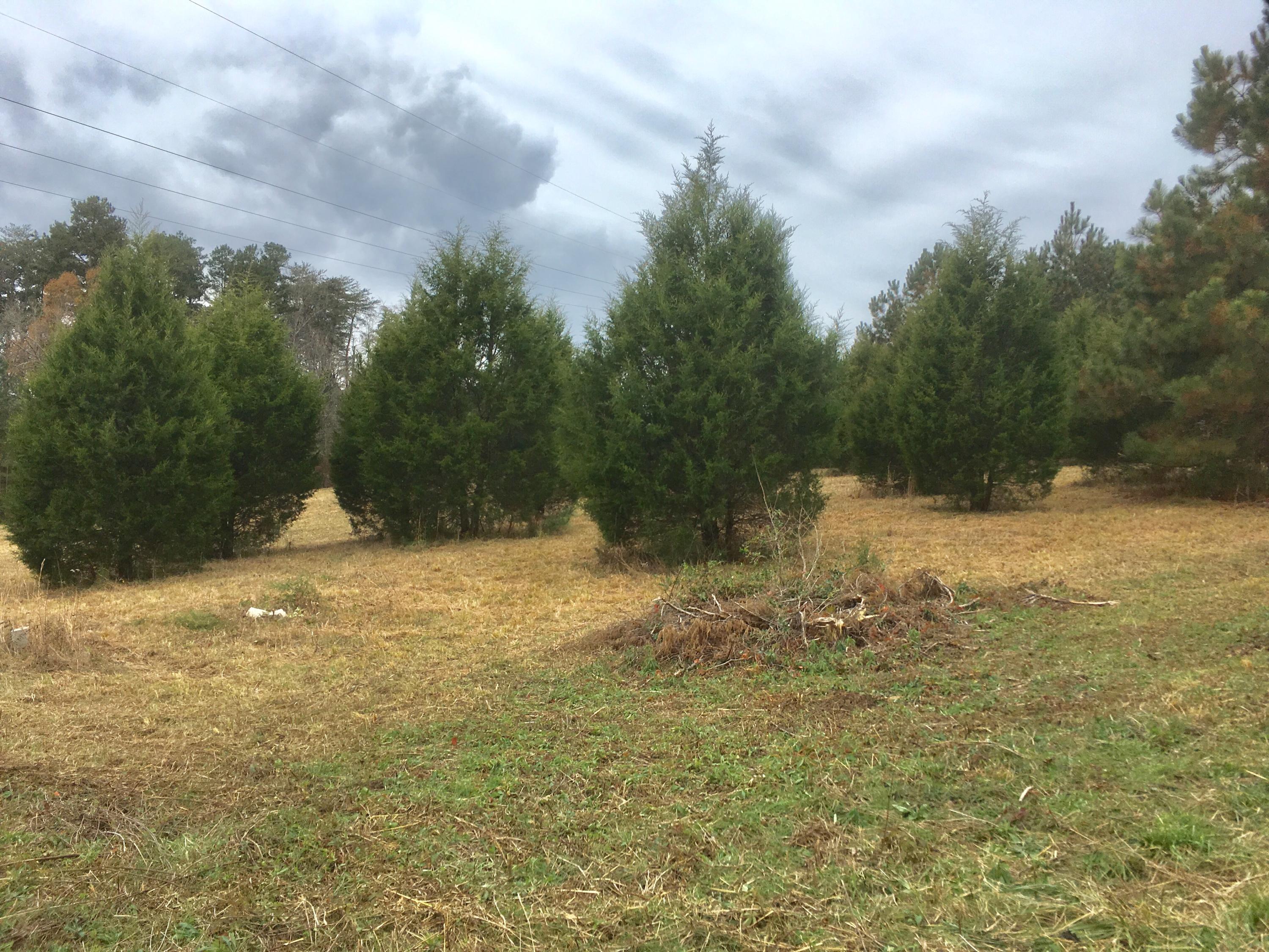 Peakland Road Decatur, TN 37322 - Photo 2 of 4 IMG_6627