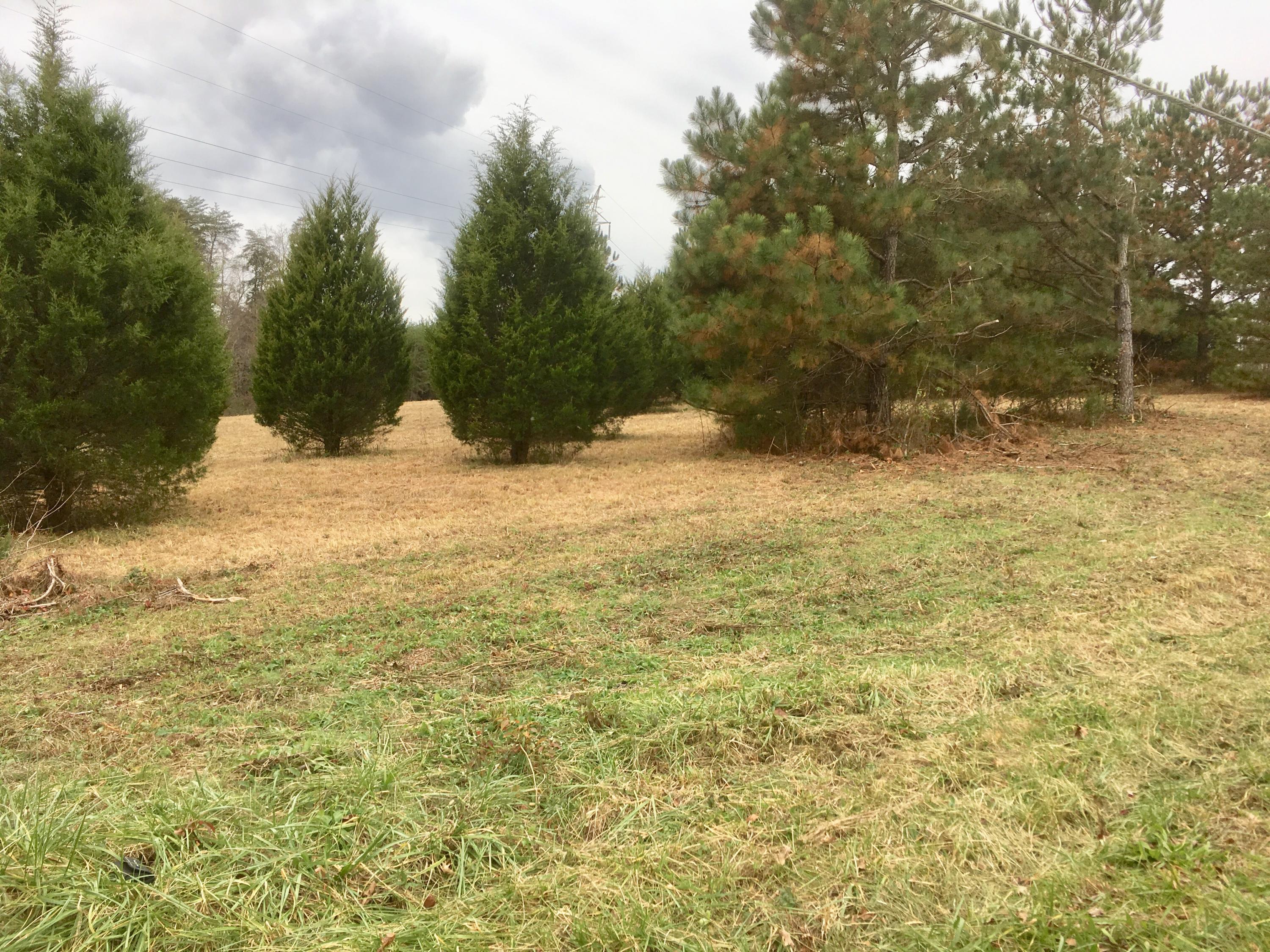 Peakland Road Decatur, TN 37322 - Photo 3 of 4 IMG_6628