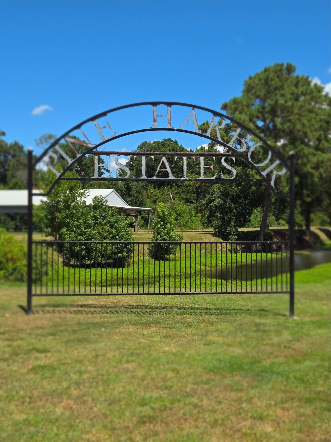 206 Tallow Street Onalaska, TX 77360 - Photo 19 of 25 a view of a park with a small yard