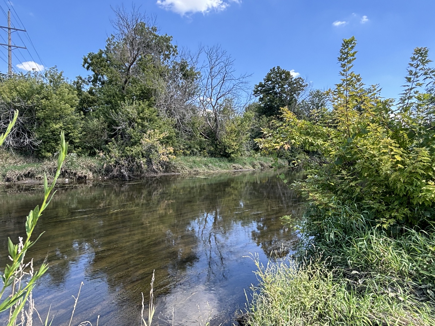 1215 Chalet Road, Unit 101 Naperville, IL 60563 - Photo 27 of 36 a view of a lake with houses