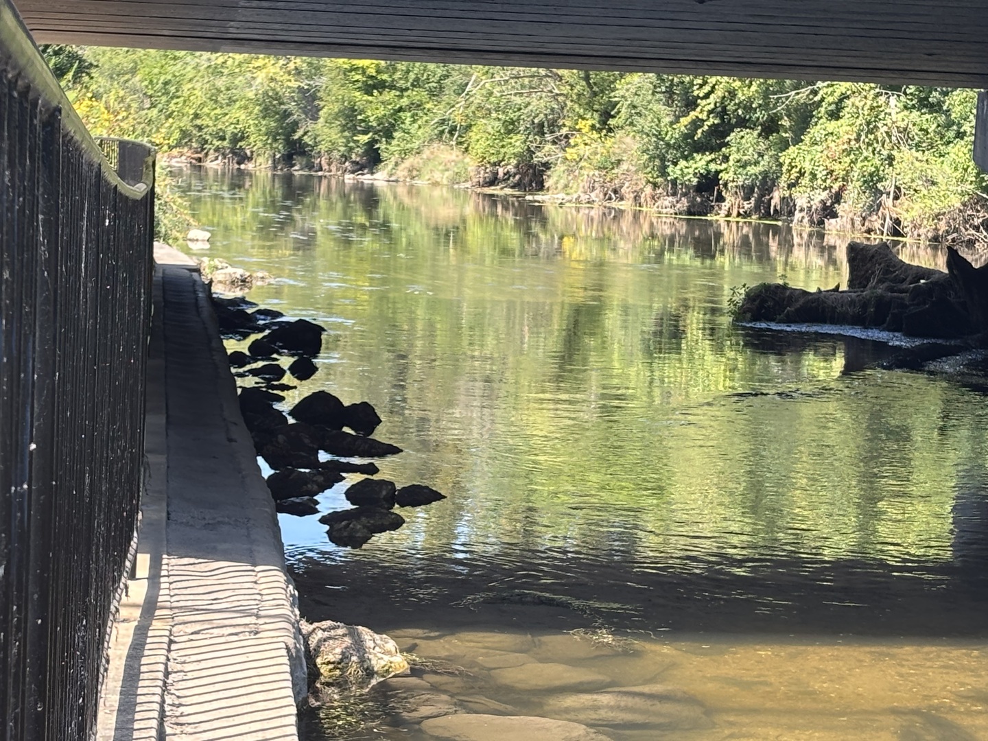 1215 Chalet Road, Unit 101 Naperville, IL 60563 - Photo 28 of 36 a view of a lake view