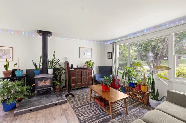 a living room with furniture and a potted plant