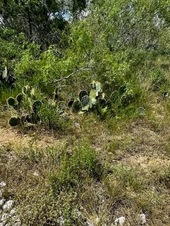 $160,000 | Lot 1 County Road 420, Waelder, TX 78959