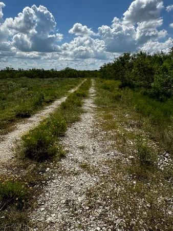 $160,000 | Lot 1 County Road 420, Waelder, TX 78959