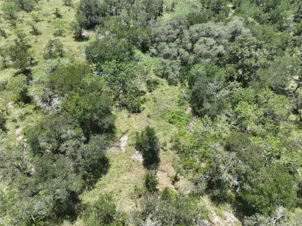 $160,000 | Lot 1 County Road 420, Waelder, TX 78959