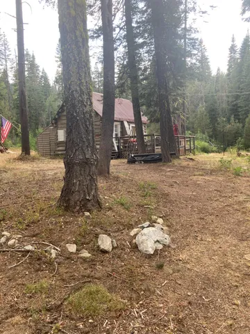 a view of a tree in the middle of a yard