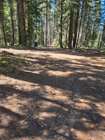 $320,000 | 9281 Big Creek Road, Bucks Lake, CA 95971