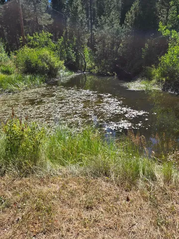 a view of a lake with a yard
