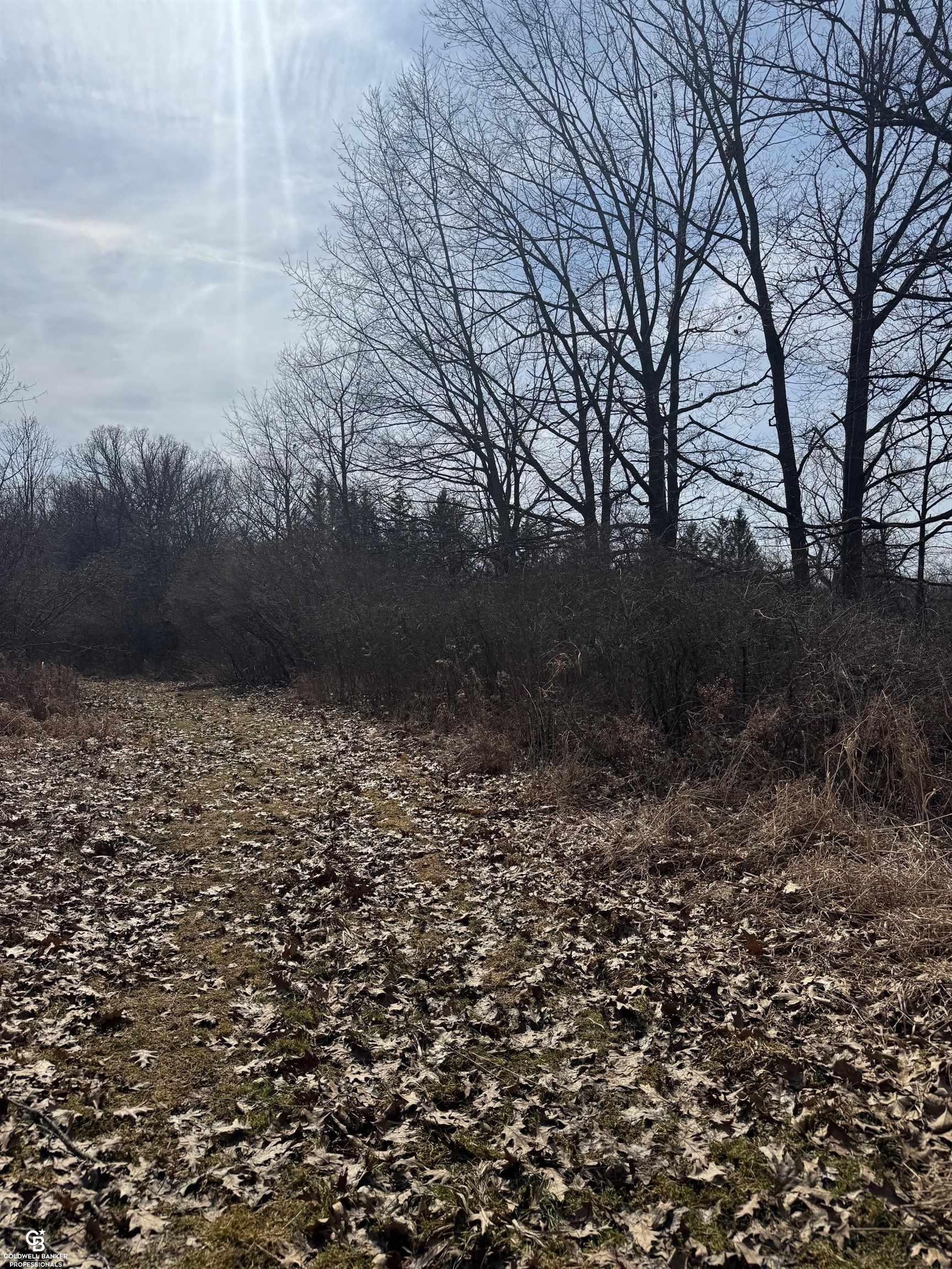 11105 Bryce Road Emmett, MI 48022 - Photo 25 of 44 50169414-90ad1733-0d1b-447c-aa8e-18c0815c1f83.JPG