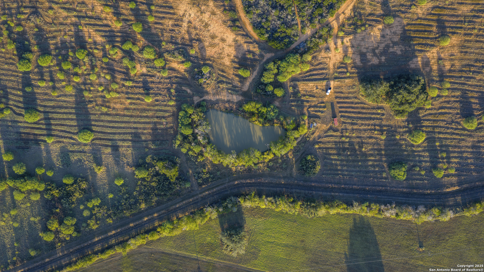 514 County Road 669 Devine, TX 78016 - Photo 18 of 45 a view of swimming pool with a patio