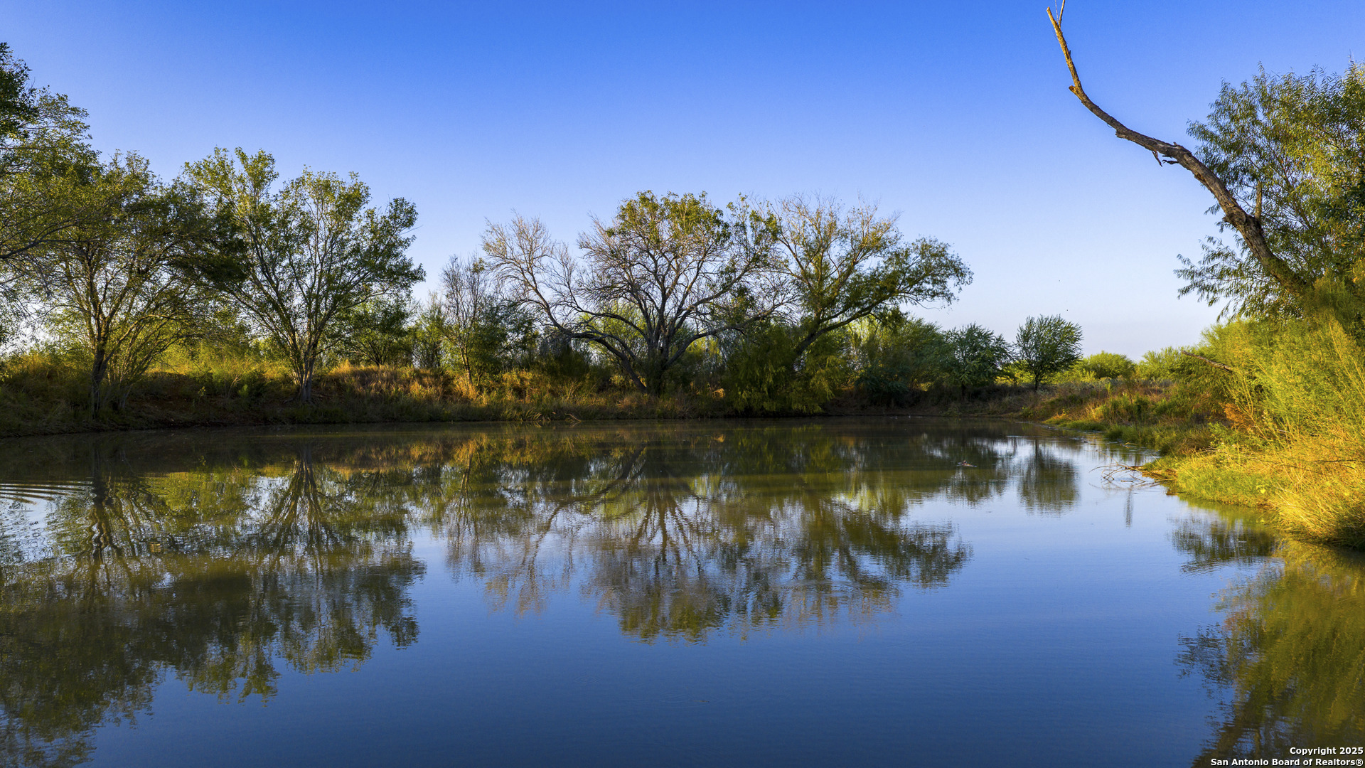 514 County Road 669 Devine, TX 78016 - Photo 20 of 45