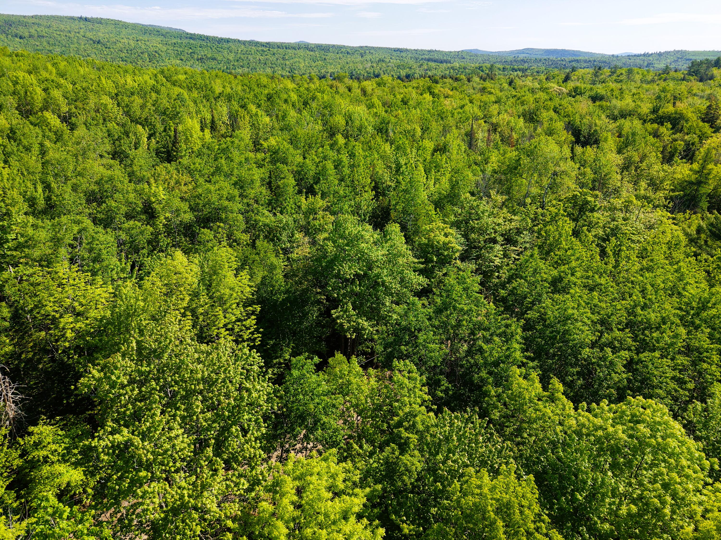 M10-l6-1 Hancock Pond Road New Portland, ME 04961 - Photo 27 of 30 DJI_20260603090211_0012_D