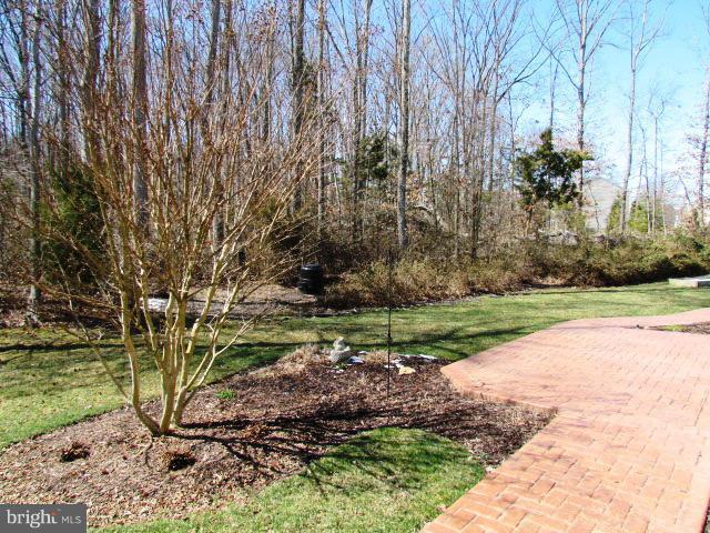 21 Little Oak Road Fredericksburg, VA 22405 - Photo 29 of 30 Back yard
