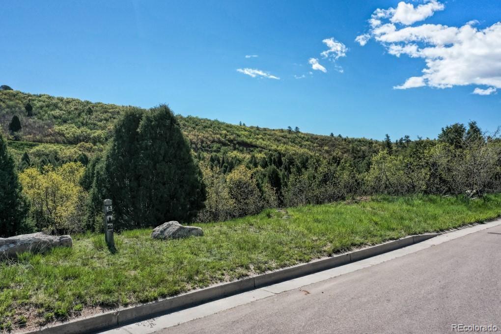 3455 Black Canyon Road Colorado Springs, CO 80904 - Photo 11 of 21 a view of a yard with a tree