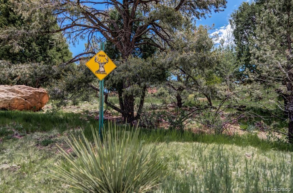 3455 Black Canyon Road Colorado Springs, CO 80904 - Photo 16 of 21 a view of a lake from a yard