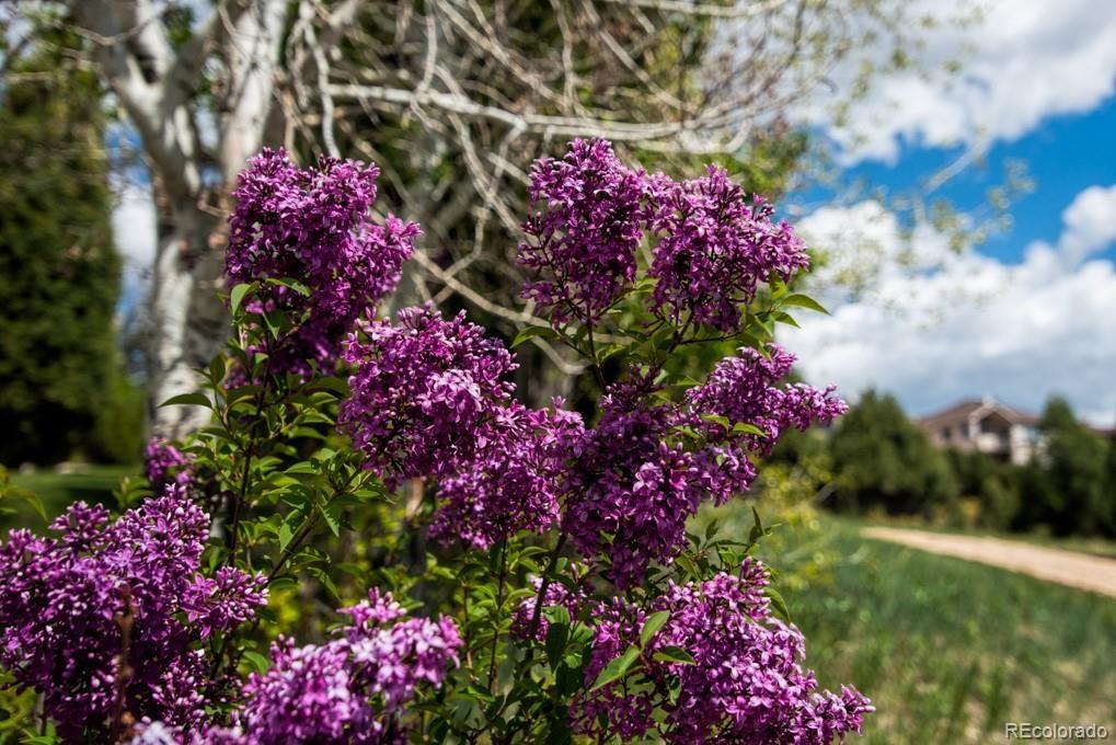 3455 Black Canyon Road Colorado Springs, CO 80904 - Photo 17 of 21 a street view with sitting space and garden