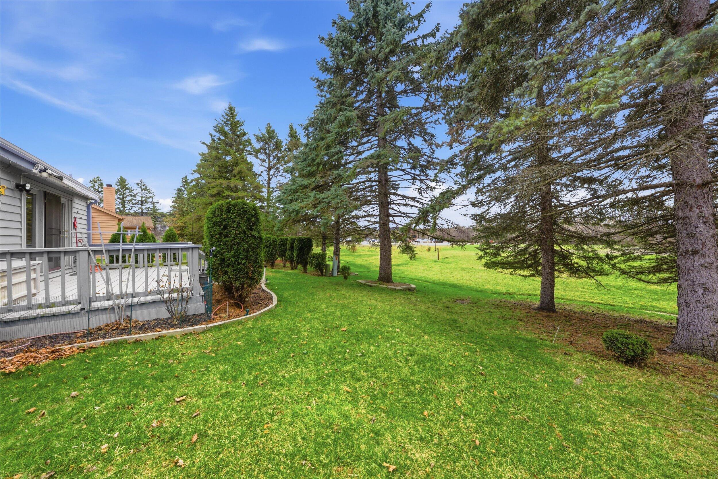 W178N9743 Riversbend Circle West Germantown, WI 53022 - Photo 31 of 40 Green Space for backyard