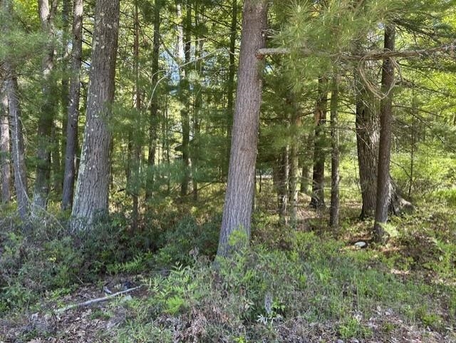 22 Baldwin Resort Road East Tawas, MI 48730 - Photo 17 of 72
