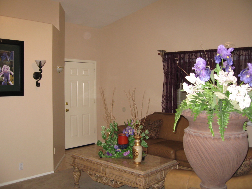 9021 West Osborn Road Phoenix, AZ 85037 - Photo 3 of 9 Entry
