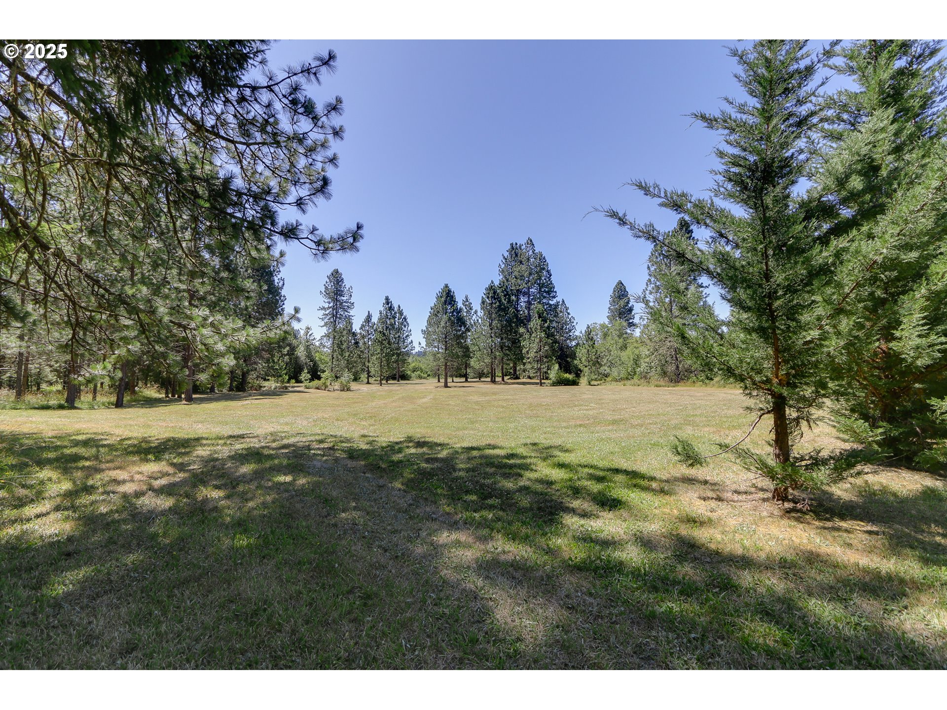 25454 Perkins Road Veneta, OR 97487 - Photo 5 of 32