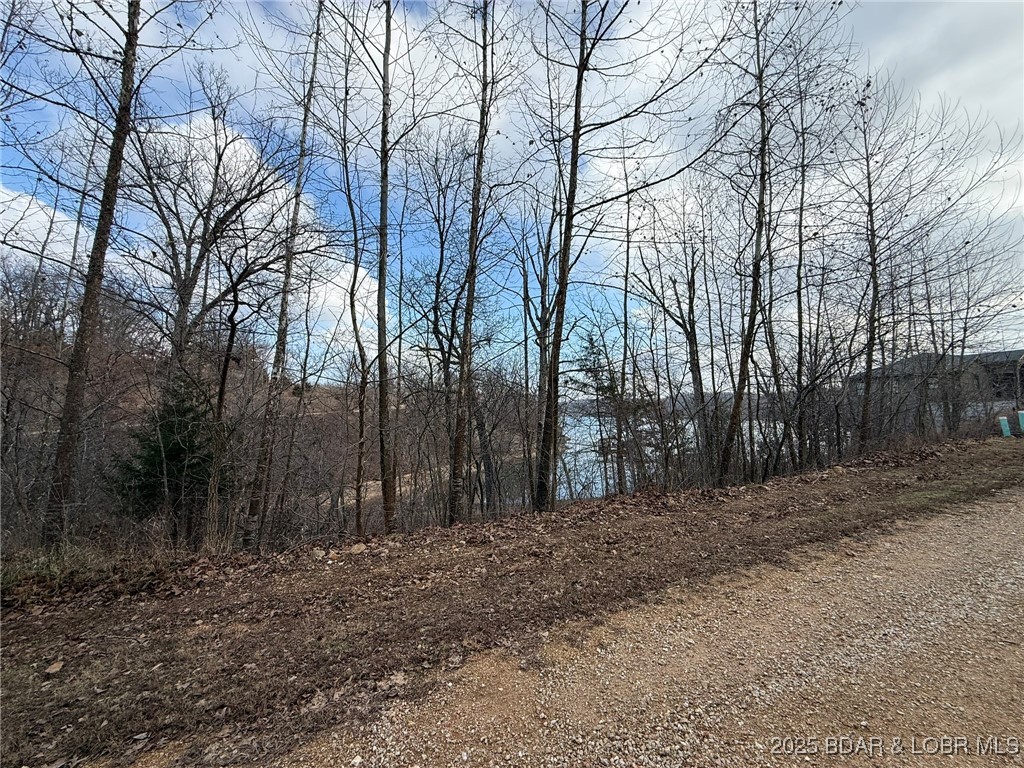 6-7 Lexi Lane Edwards, MO 65326 - Photo 12 of 18