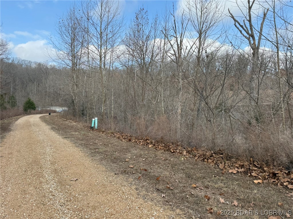 6-7 Lexi Lane Edwards, MO 65326 - Photo 13 of 18