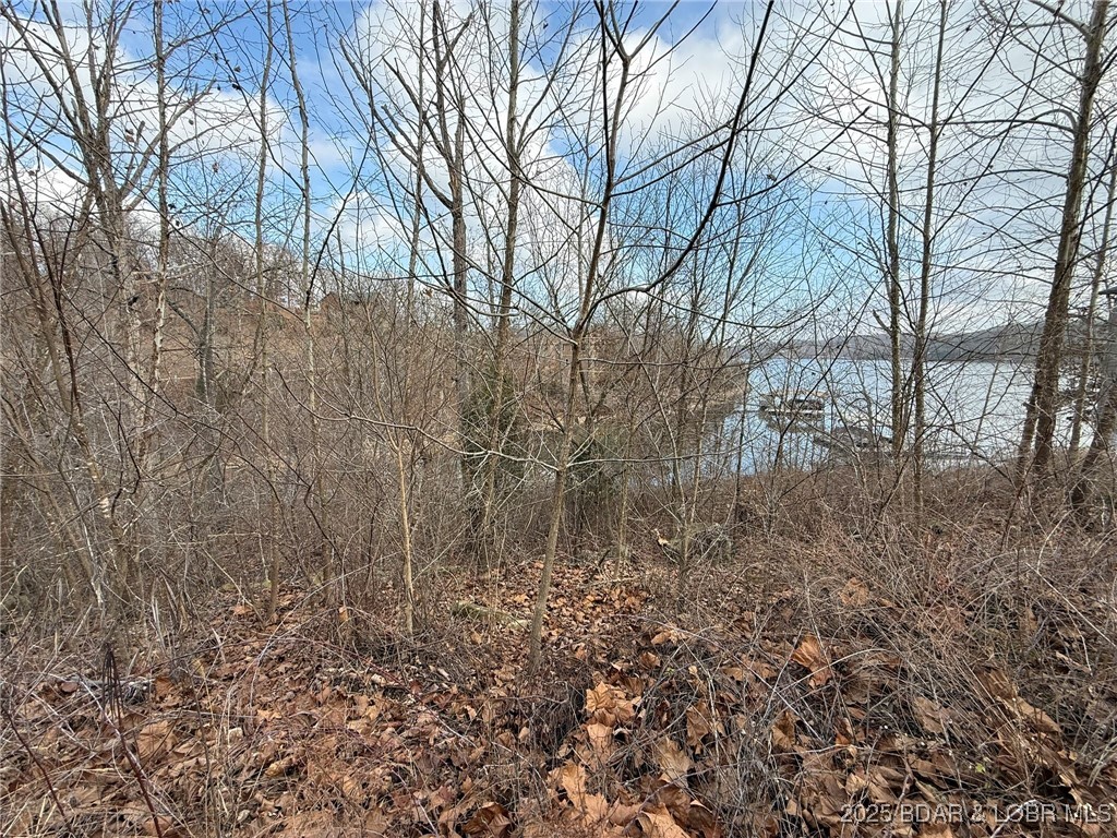 6-7 Lexi Lane Edwards, MO 65326 - Photo 14 of 18