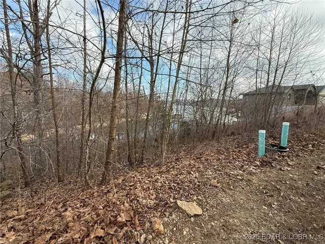 $149,900 | 6-7 Lexi Lane, Edwards, MO 65326