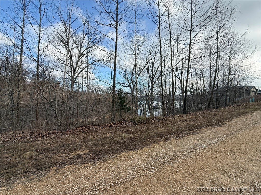 6-7 Lexi Lane Edwards, MO 65326 - Photo 16 of 18