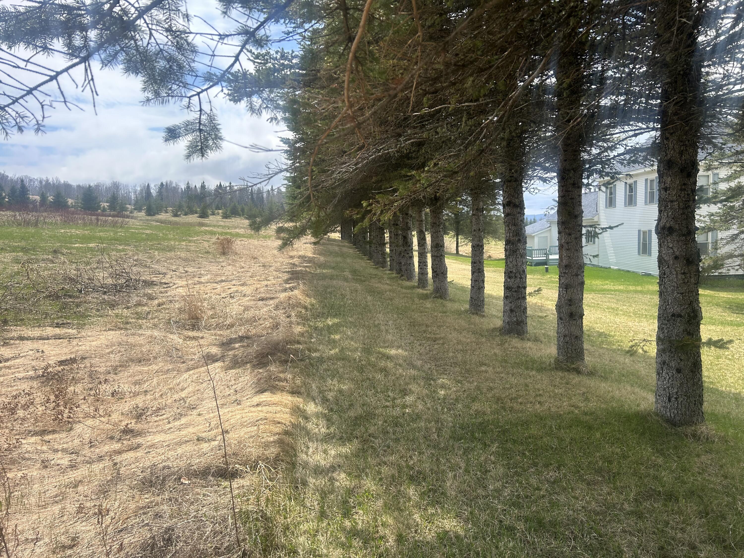 304 Strip Road Wallagrass, ME 04781 - Photo 11 of 29 IMG_5504