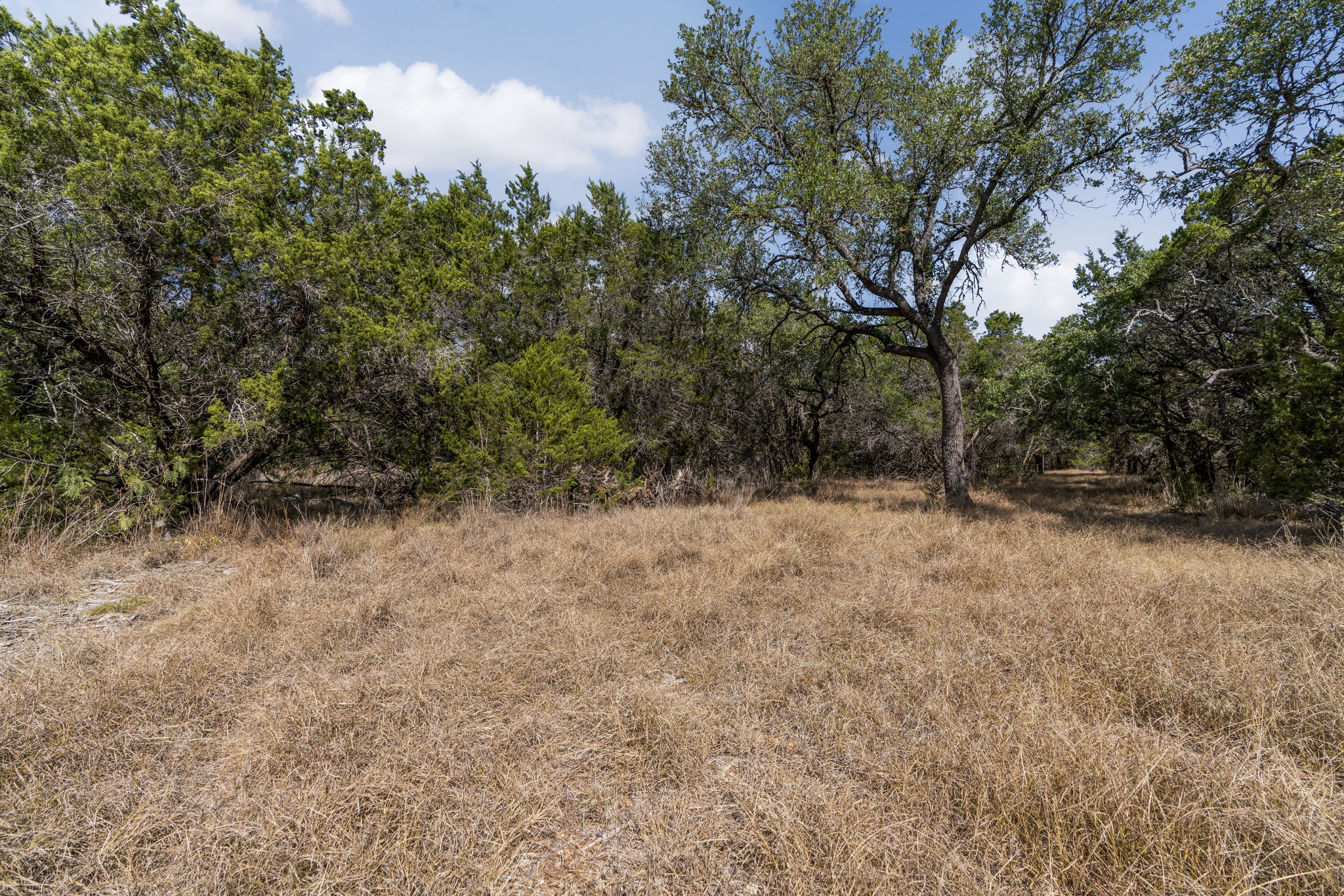 1930 South Rainbow Ranch Road Wimberley, TX 78676 - Photo 15 of 40