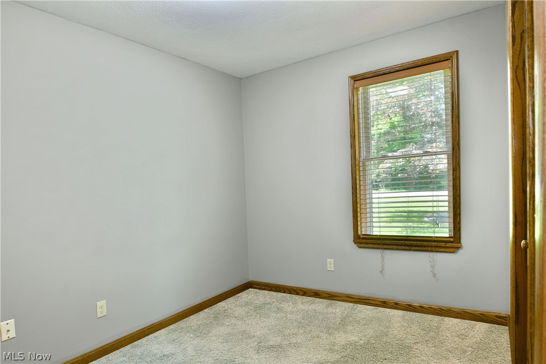 754 Warner Road Hubbard, OH 44425 - Photo 31 of 46 Light gray walls with wood trim and carpeting