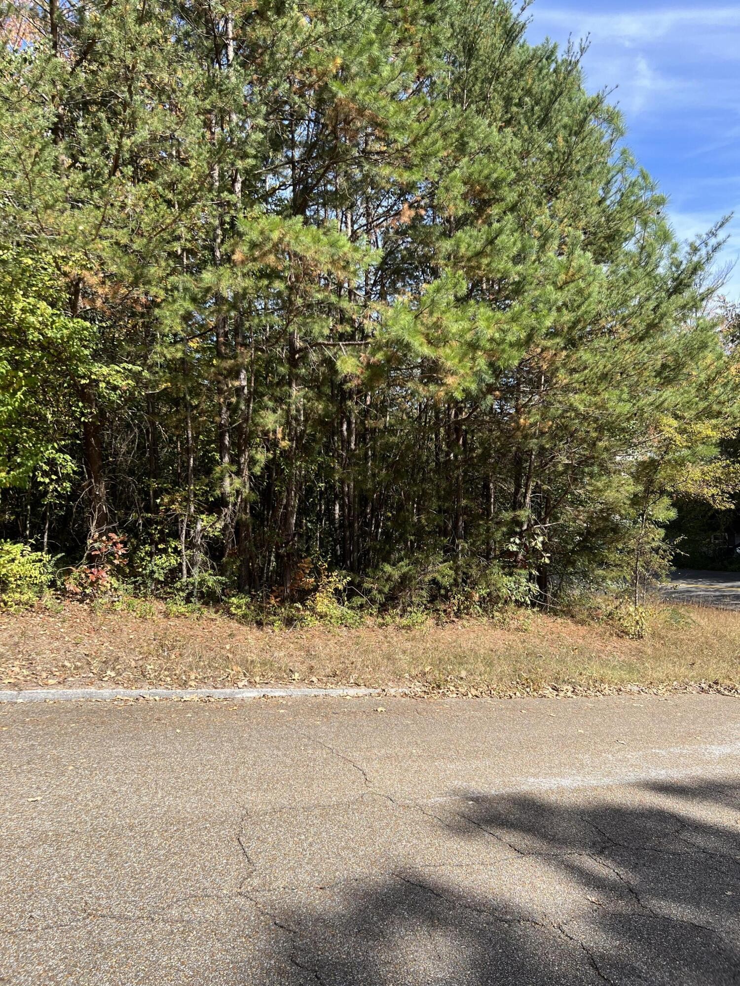 0 Delashmitt Road Hixson, TN 37343 - Photo 3 of 3 Gallery Image 3