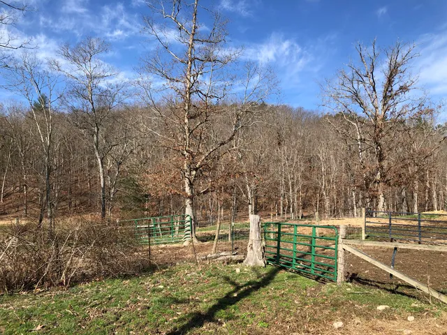 a backyard of a house with lots of green space