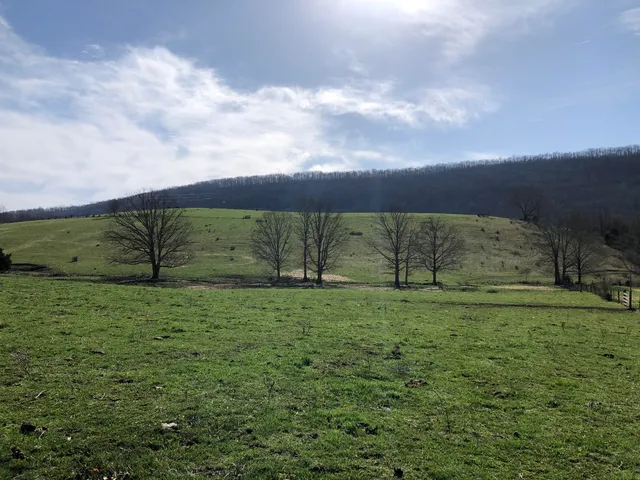 a view of outdoor space with city view