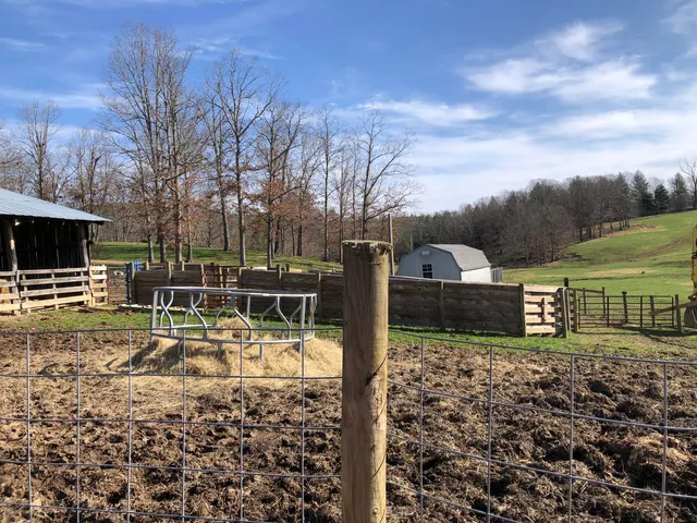 a view of outdoor space with garden
