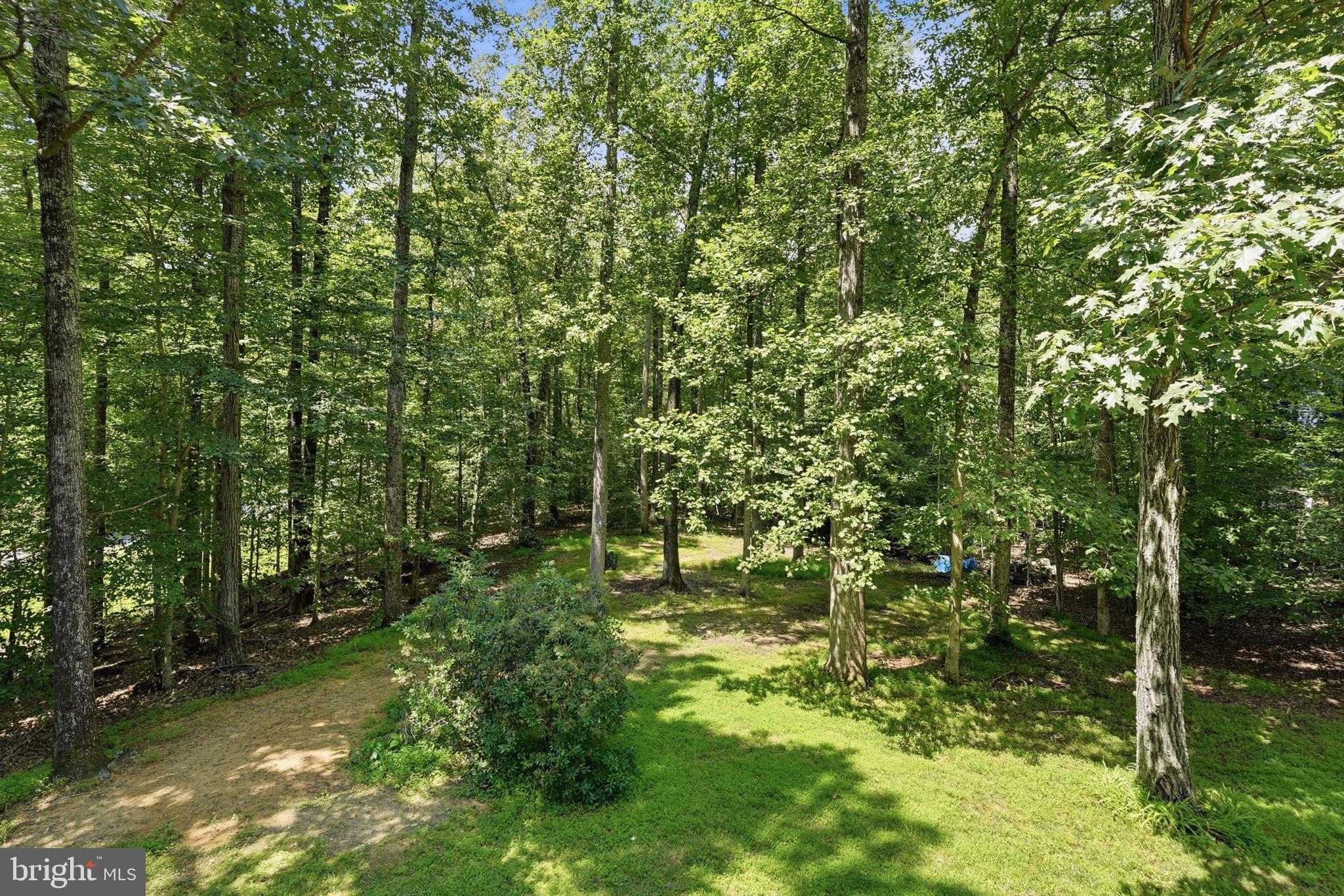 8109 Counselor Road Manassas, VA 20112 - Photo 64 of 100 Gallery Image 64