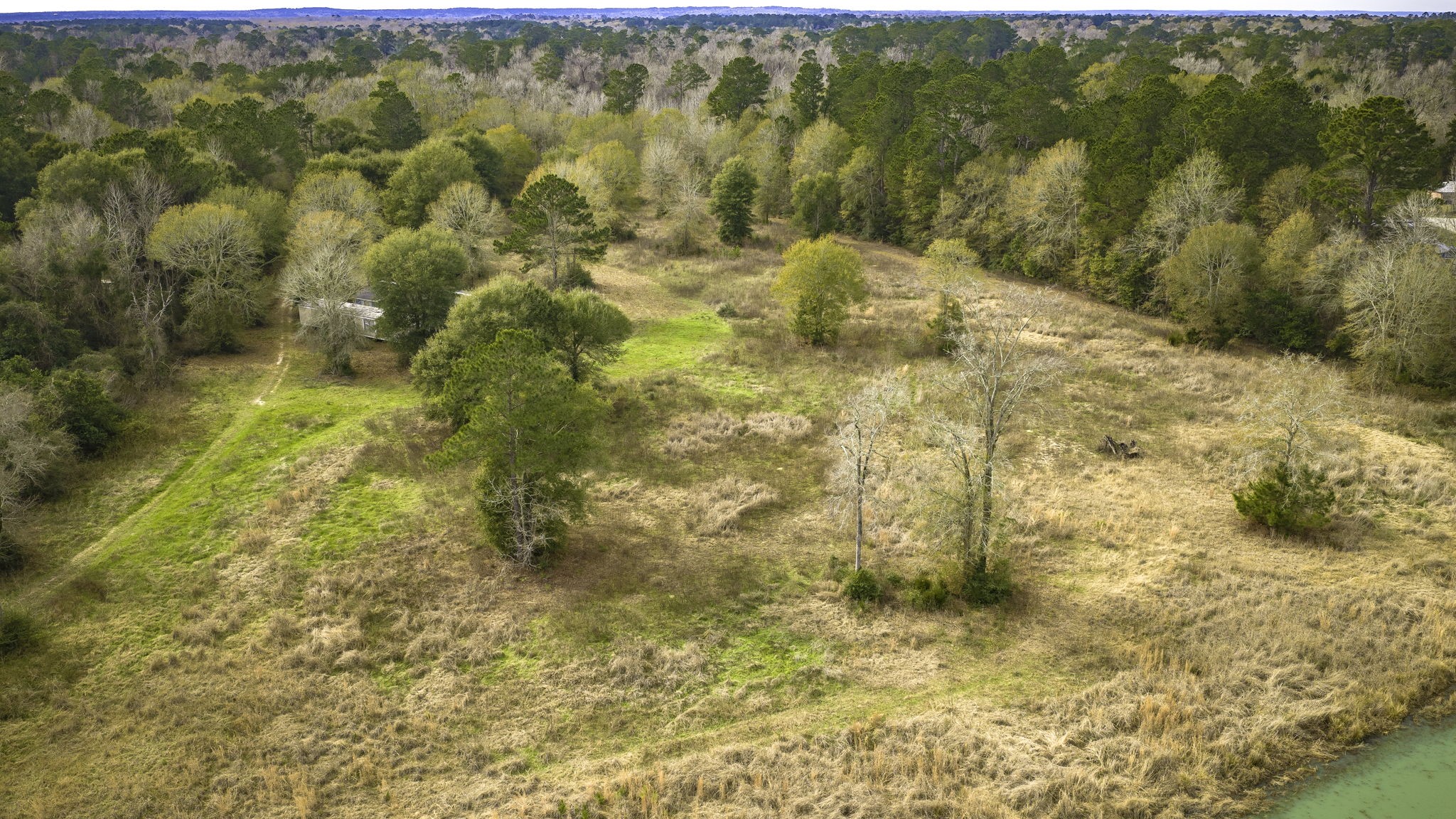 276 Hoot Owl Hollow Road Goodrich, TX 77335 - Photo 17 of 27
