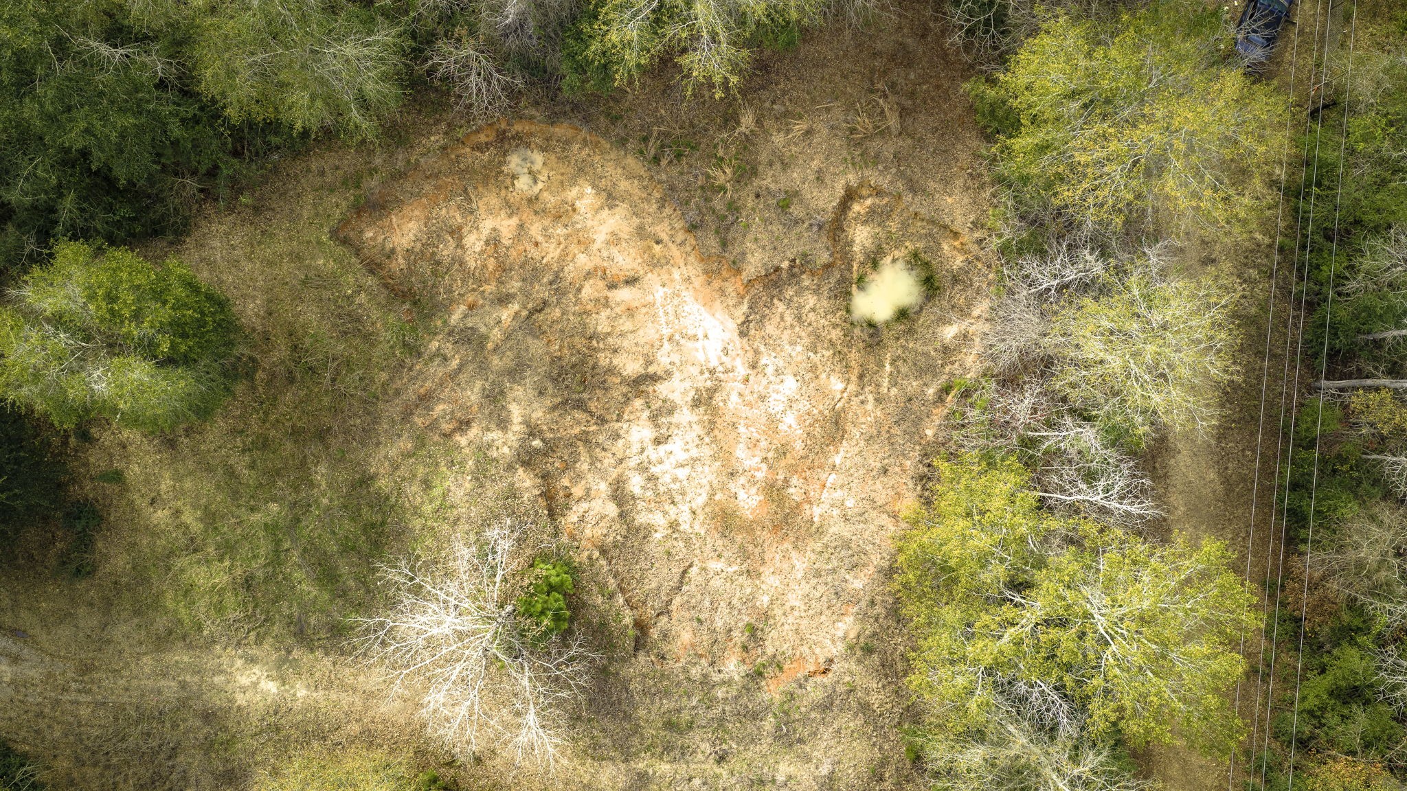 276 Hoot Owl Hollow Road Goodrich, TX 77335 - Photo 19 of 27 a backyard of a house with large trees