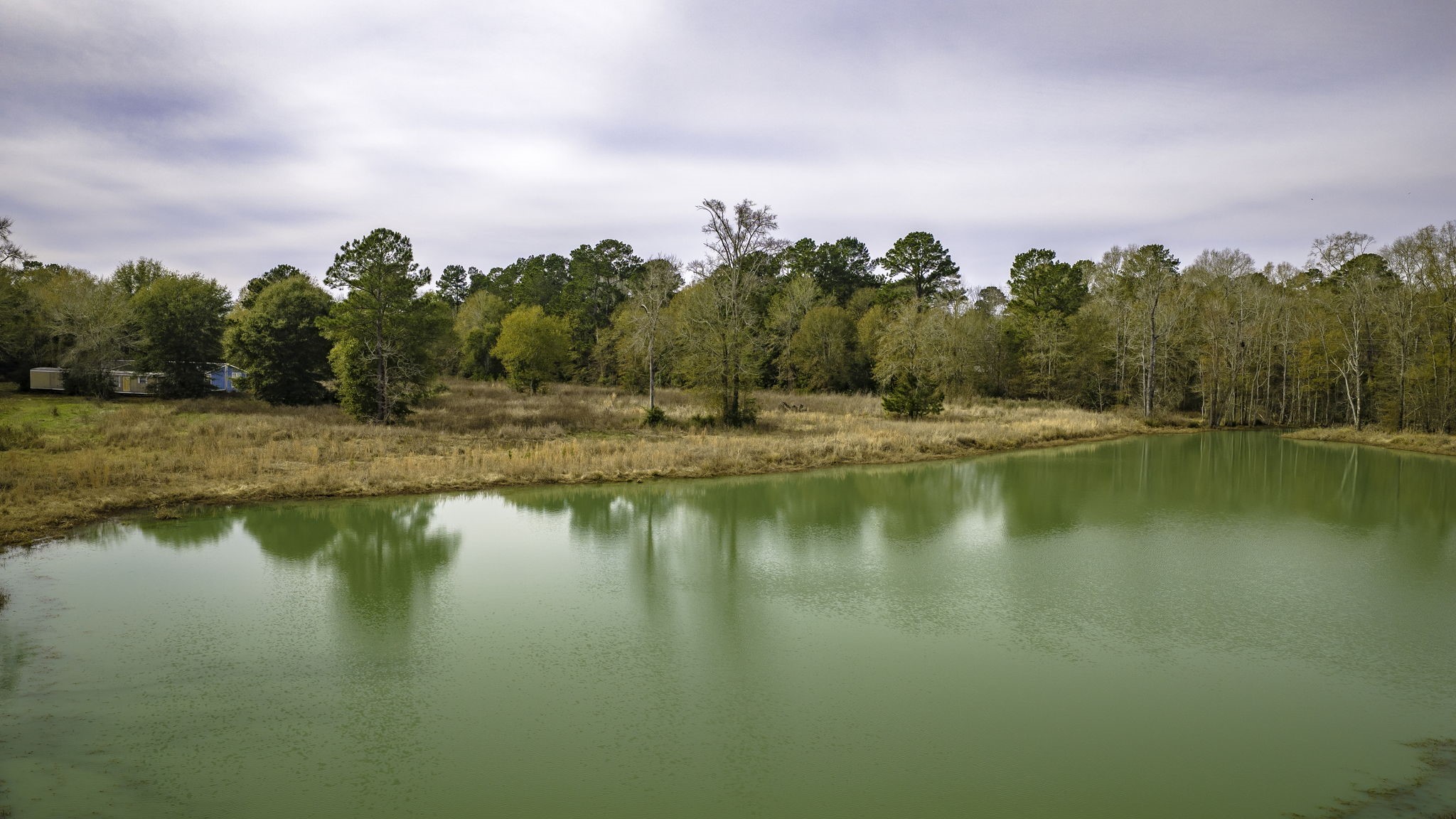 276 Hoot Owl Hollow Road Goodrich, TX 77335 - Photo 24 of 27