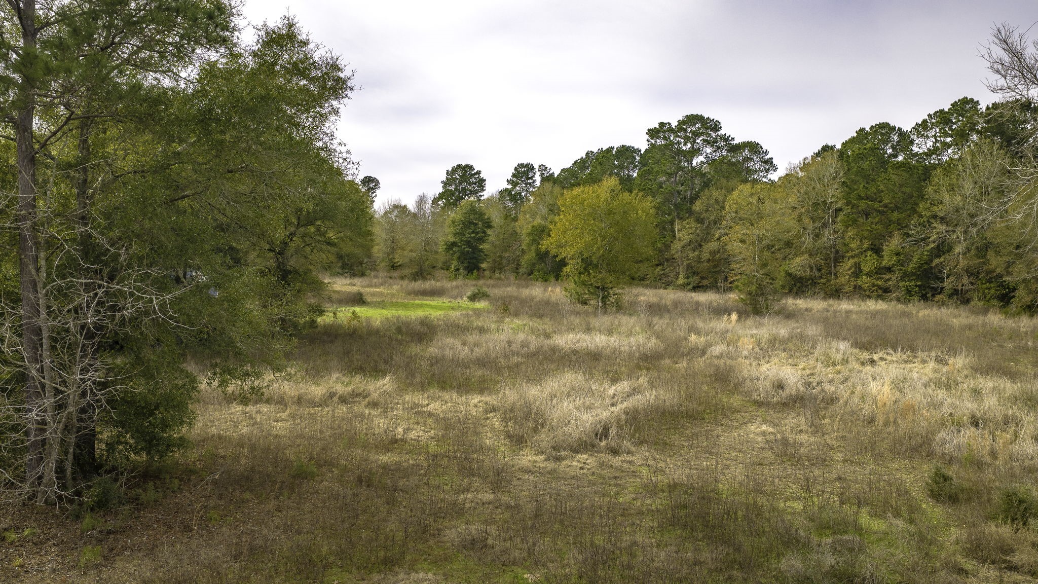 276 Hoot Owl Hollow Road Goodrich, TX 77335 - Photo 26 of 27 a view of dirt field and trees around