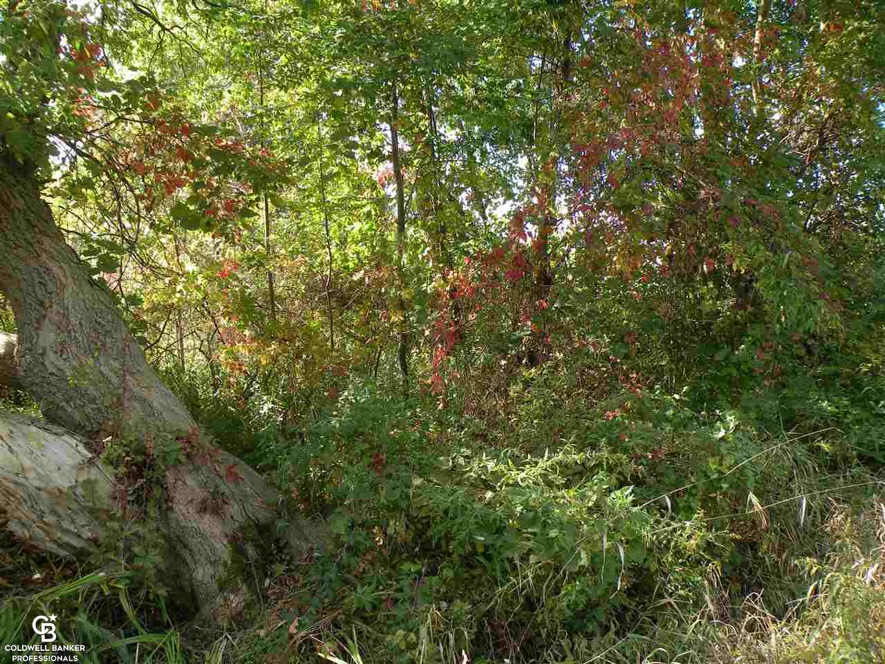 0 Bauman Road Columbus, MI 48063 - Photo 7 of 7