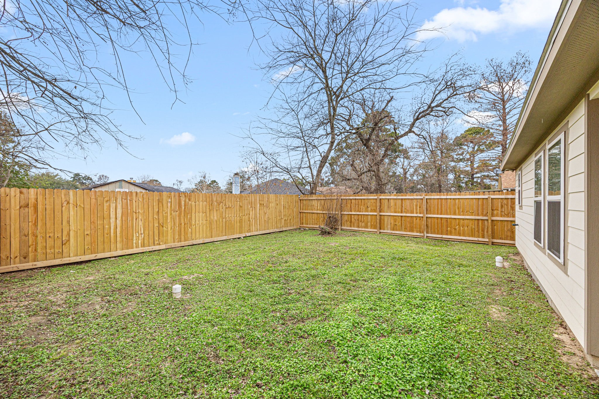 23507 Prairie Bird Drive Spring, TX 77373 - Photo 26 of 30 a view of a yard with an outdoor space