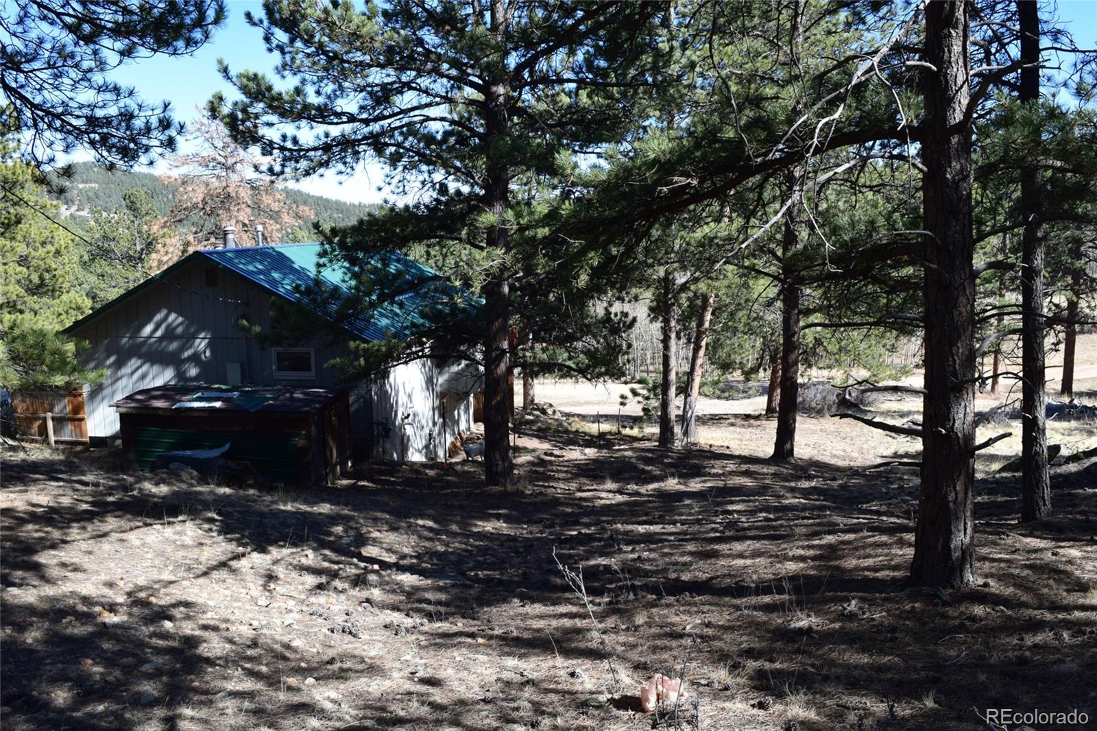 89 Little Spring Lane Bailey, CO 80421 - Photo 28 of 33 Gallery Image 28