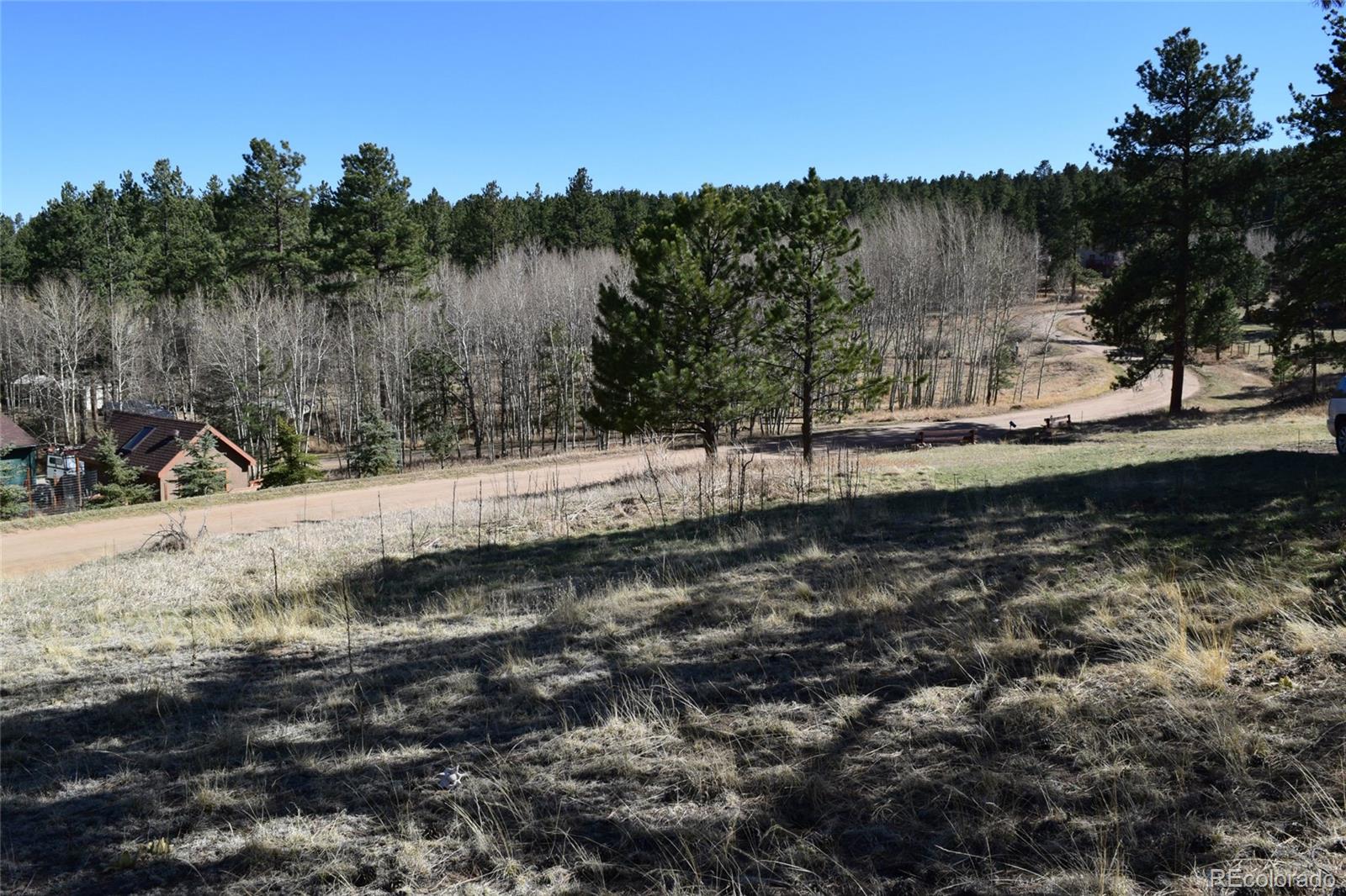 89 Little Spring Lane Bailey, CO 80421 - Photo 33 of 33 Gallery Image 33
