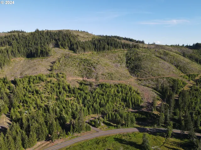 a view of a lake with a mountain