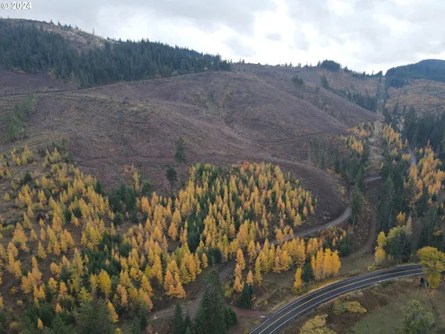 a view of a city street with trees