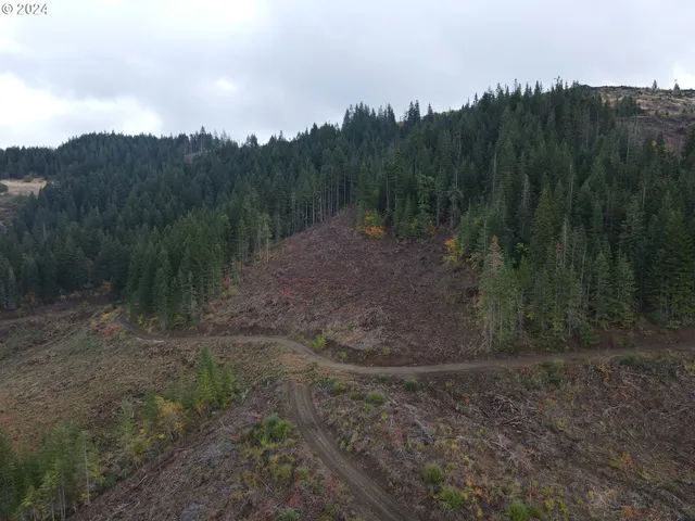 a view of a bird bath